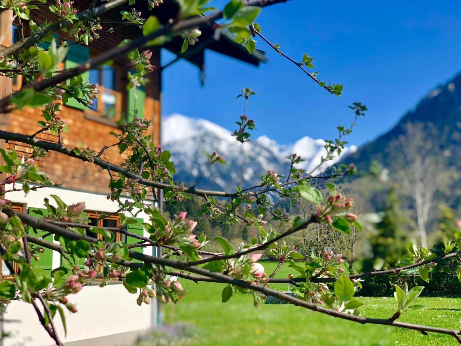Landhaus Berktold Oberstdorf Extérieur photo